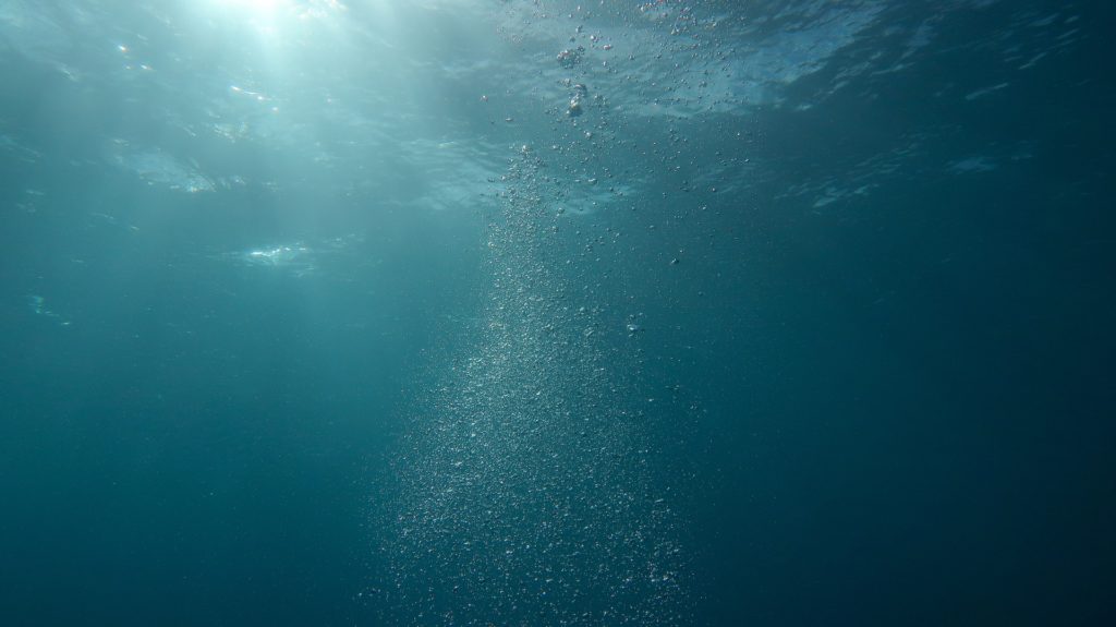 view from underwater